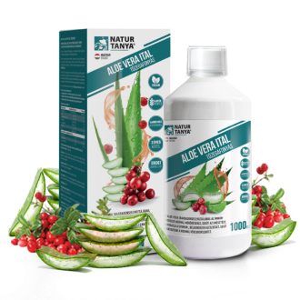   Natúr Tanya ALOE VERA ITAL TŐZEGÁFONYÁS, ERDEI GYÜMÖLCSÖS – Független, akkreditált laborral igazolt acemannán tartalommal